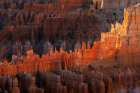 Sunrise at Bryce Canyon National Park, Utah Art Print